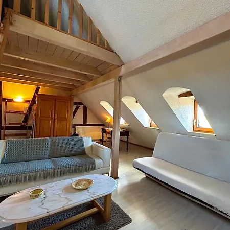Pensees D'alsace - Loft Cosy Hypercentre コルマール