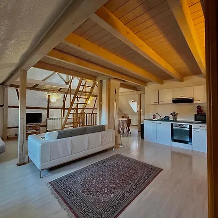 Pensees D'alsace - Loft Cosy Hypercentre コルマール