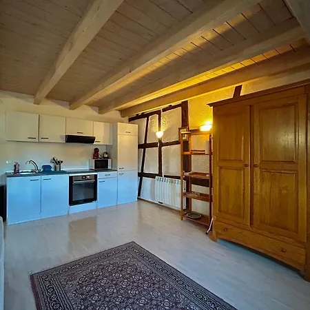 Pensees D'alsace - Loft Cosy Hypercentre