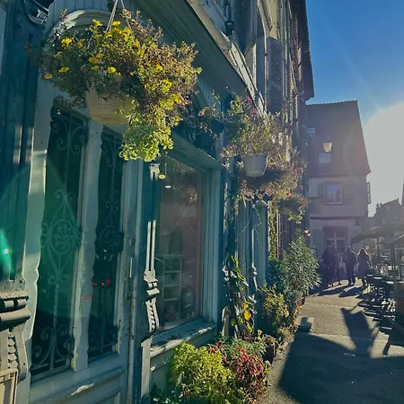 Pensees D'alsace - Loft Cosy Hypercentre コルマール